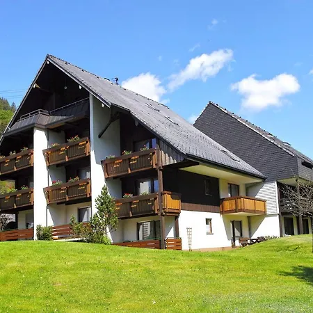 C4 Albmatte-Fewo Sauna, Hallenbad Aussenbecken Massagen Nebenan Menzenschwand-Hinterdorf Buitenkant foto