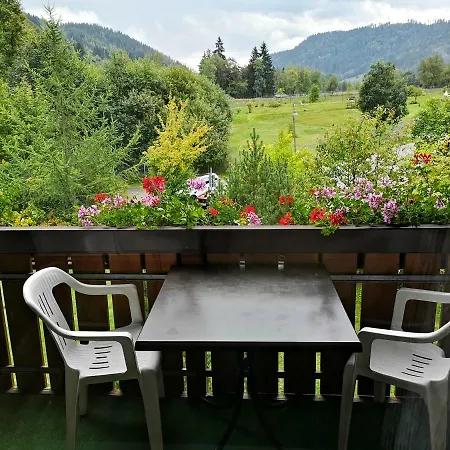 C4 Albmatte-Fewo Sauna, Hallenbad Aussenbecken Massagen Nebenan Menzenschwand-Hinterdorf Buitenkant foto