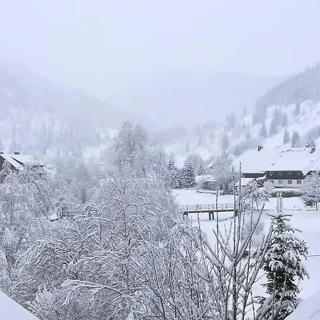 C4 Albmatte-Fewo Sauna, Hallenbad Aussenbecken Massagen Nebenan Menzenschwand-Hinterdorf Buitenkant foto