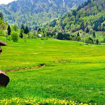 C4 Albmatte-Fewo Sauna, Hallenbad Aussenbecken Massagen Nebenan Menzenschwand-Hinterdorf Buitenkant foto