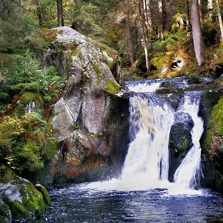 C4 Albmatte-Fewo Sauna, Hallenbad Aussenbecken Massagen Nebenan Menzenschwand-Hinterdorf Buitenkant foto