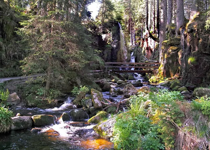 C4 Albmatte-Fewo Sauna, Hallenbad Aussenbecken Massagen Nebenan
