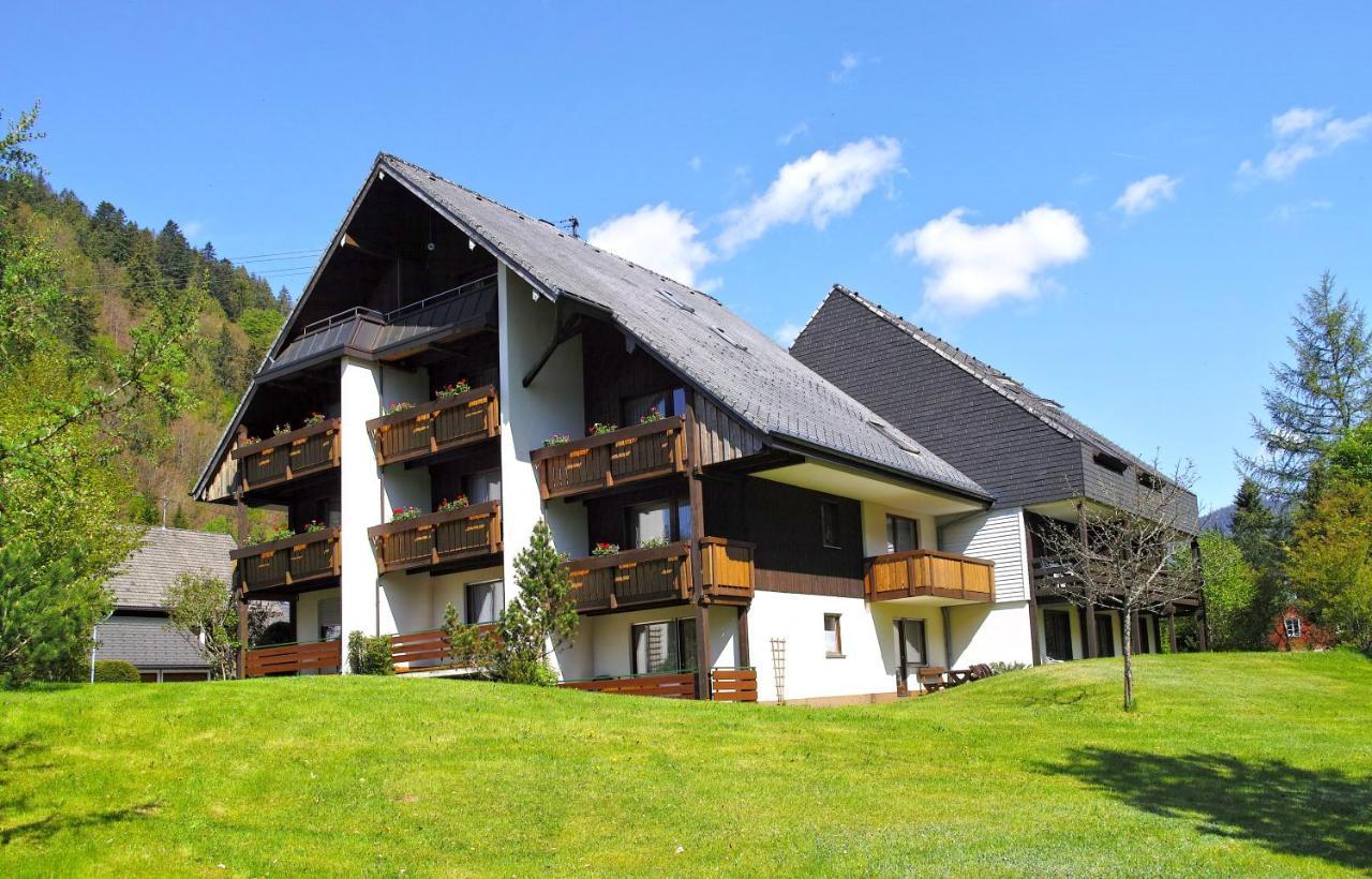 C4 Albmatte-fewo Sauna, Hallenbad Aussenbecken Massagen Nebenan Apartment Menzenschwand