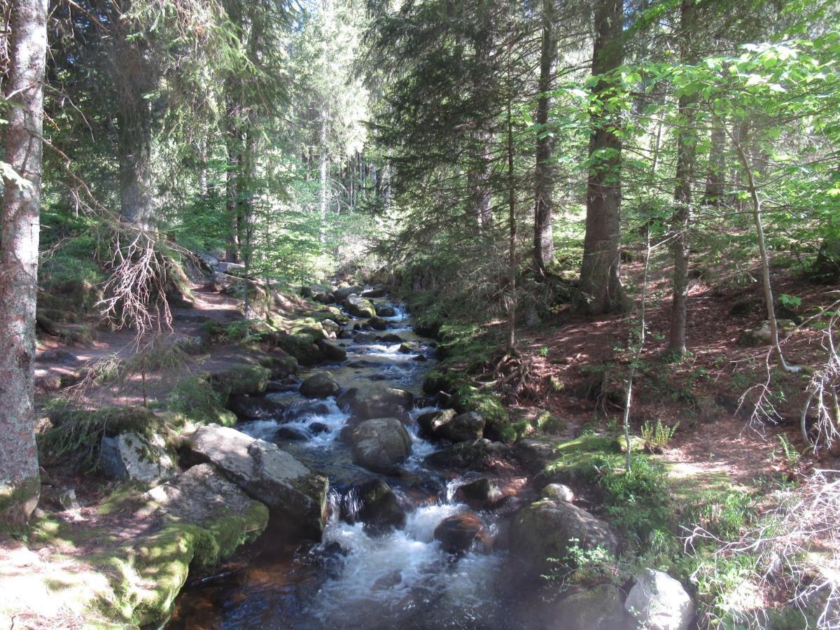 C4 Albmatte-fewo Sauna, Hallenbad Aussenbecken Massagen Nebenan