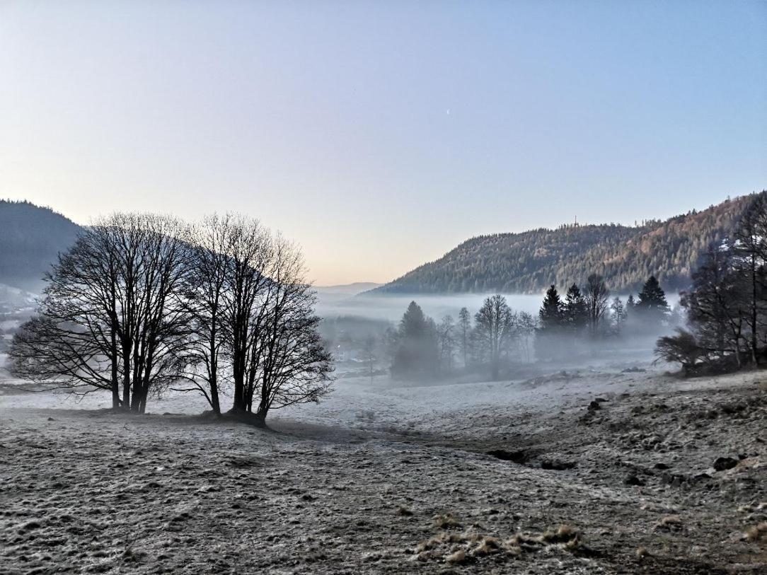 C4 Albmatte-fewo Sauna, Hallenbad Aussenbecken Massagen Nebenan Menzenschwand
