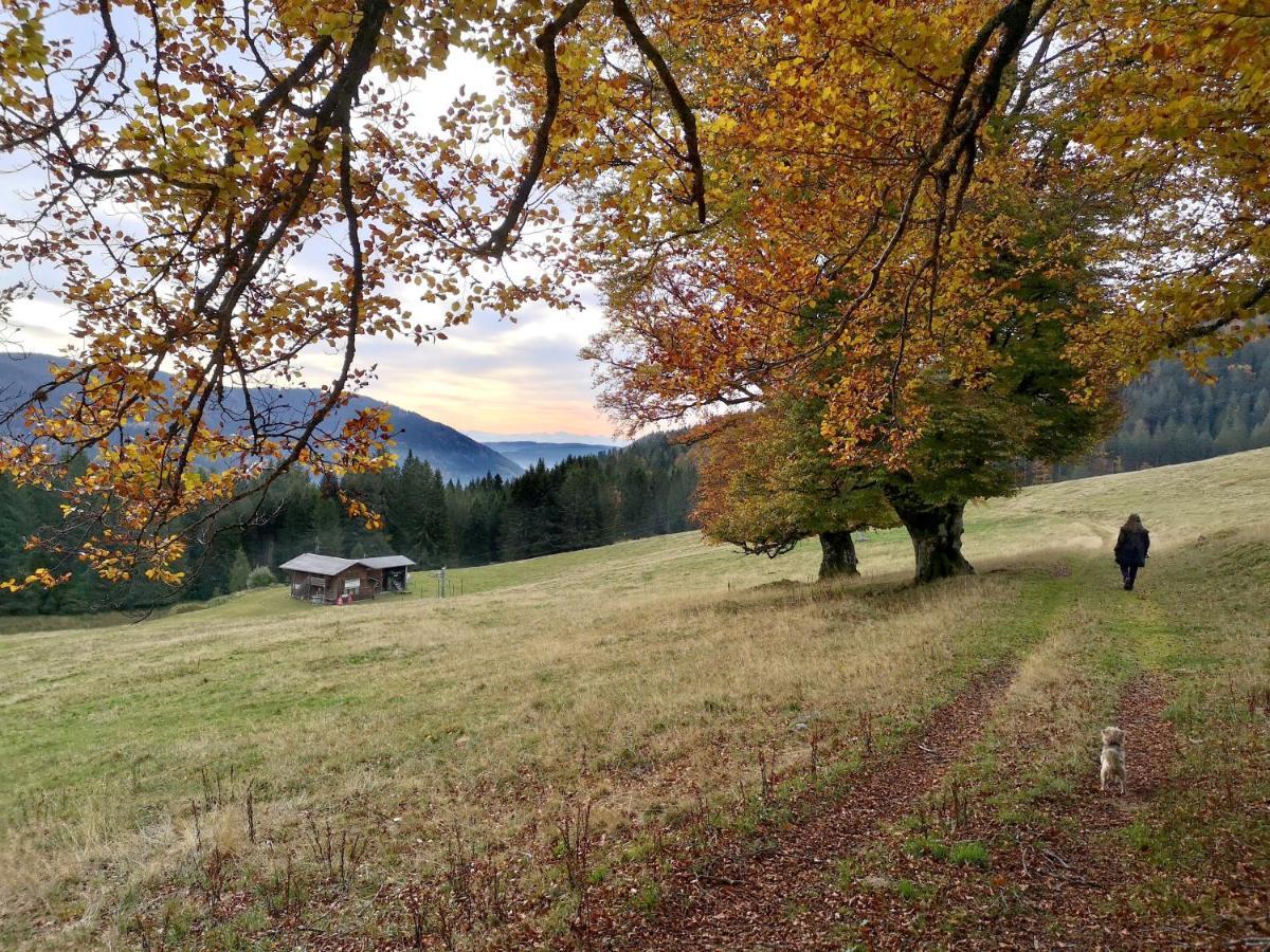 C4 Albmatte-fewo Sauna, Hallenbad Aussenbecken Massagen Nebenan Apartment Menzenschwand