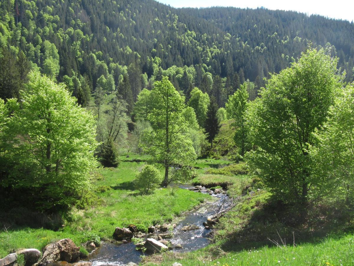 Apartment C4 Albmatte-fewo Sauna, Hallenbad Aussenbecken Massagen Nebenan Menzenschwand