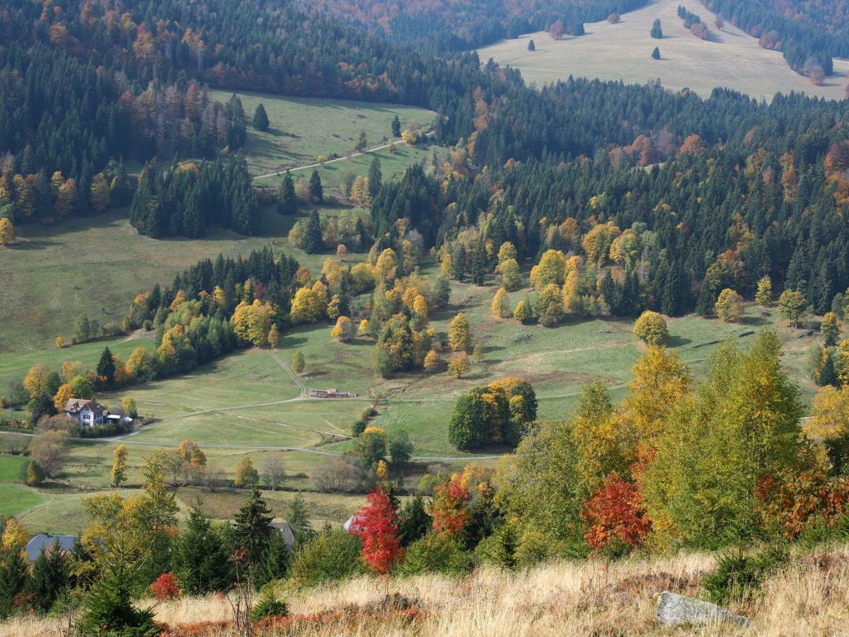 C4 Albmatte-fewo Sauna, Hallenbad Aussenbecken Massagen Nebenan Menzenschwand