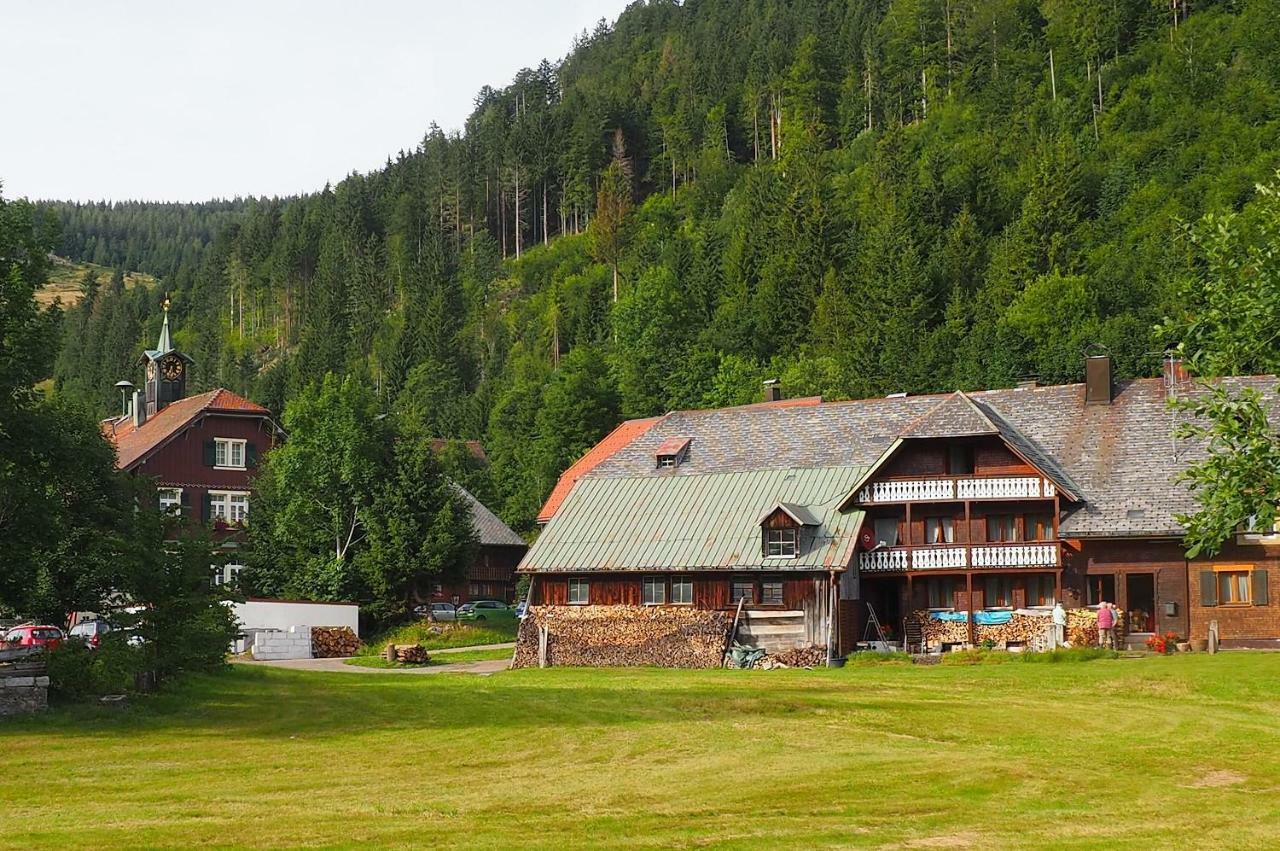 C4 Albmatte-fewo Sauna, Hallenbad Aussenbecken Massagen Nebenan Apartment Menzenschwand
