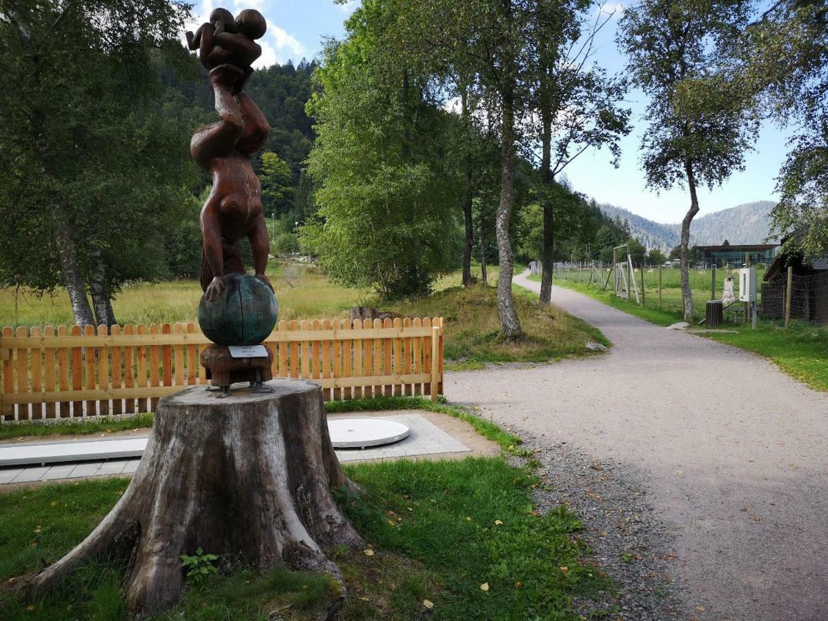 C4 Albmatte-fewo Sauna, Hallenbad Aussenbecken Massagen Nebenan Menzenschwand